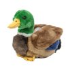 Peluche Canard